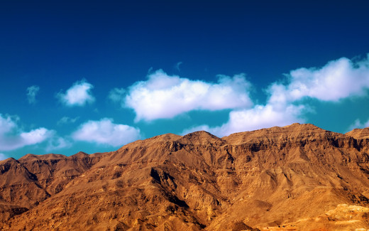 463665 (a): :2560x1600